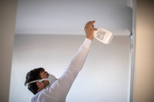 Best Mold Remediation  in Wamego, KS