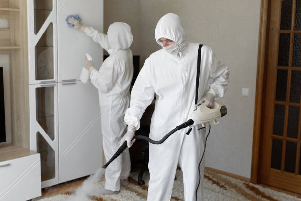 Mold Removal and Inspection in Wamego, KS